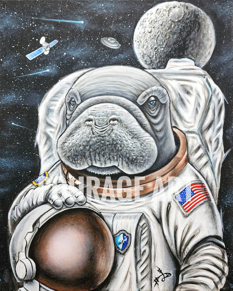 Astro Manatee