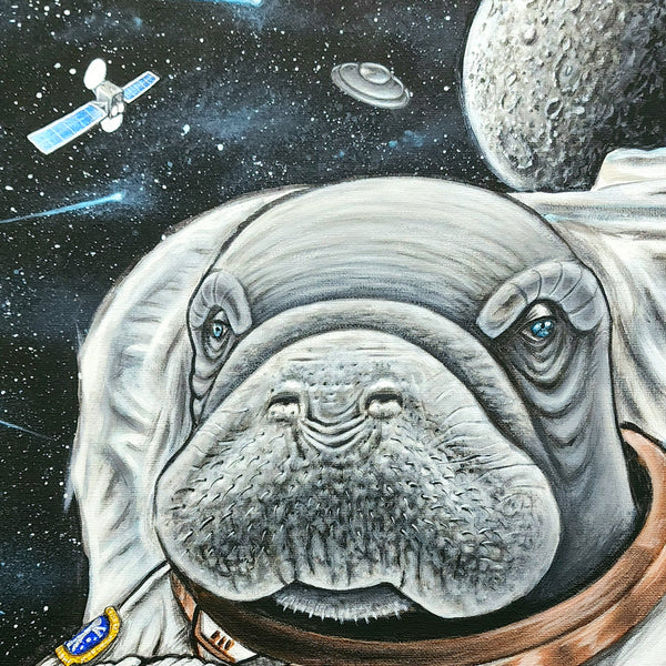 Astro Manatee