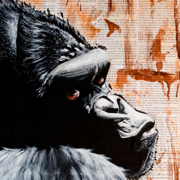 Original Goma Gorilla