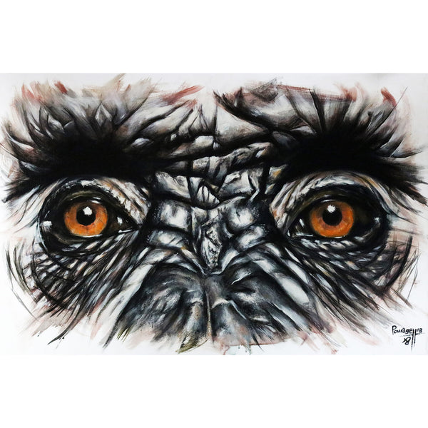 Original Gorilla Eyes