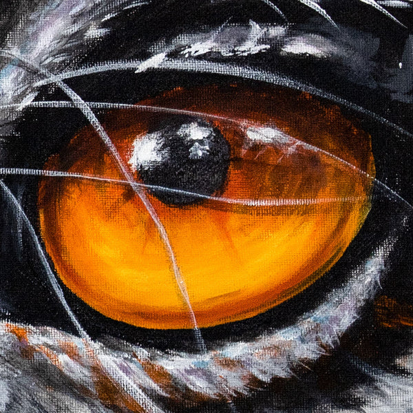 Lemur Eyes