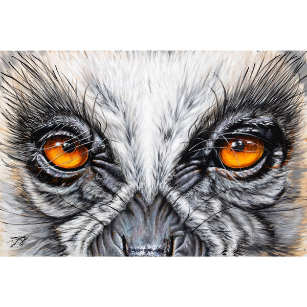 Lemur Eyes