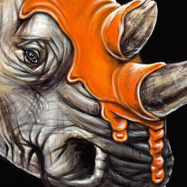 Rhino got Drip