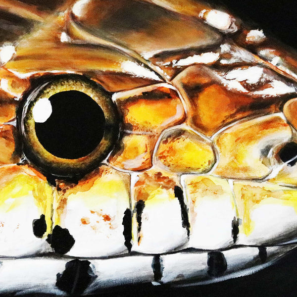 Snake