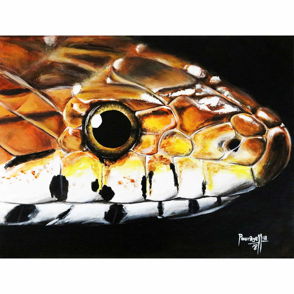 Snake