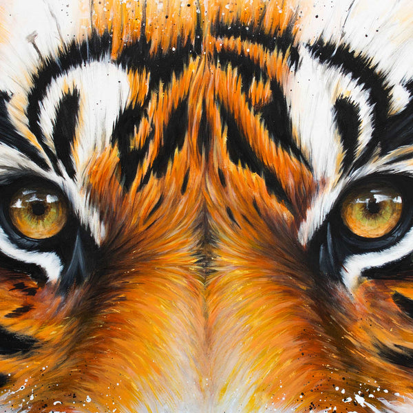 Tiger Eyes