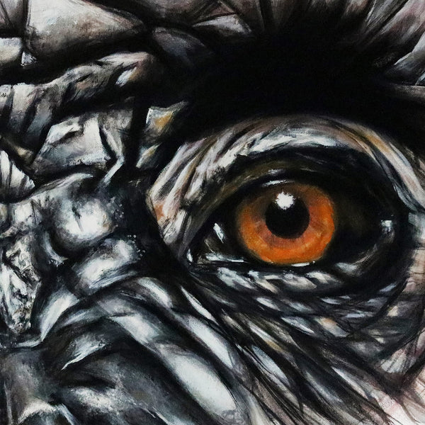 Gorilla Eyes