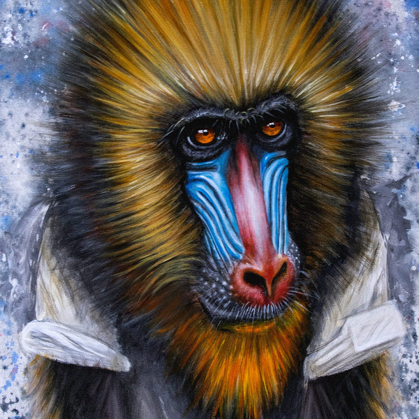 Mico the Mandrill (8x10 print)