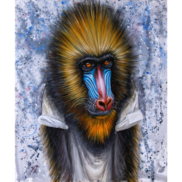 Mico the Mandrill (8x10 print)