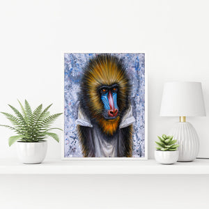 Mico the Mandrill