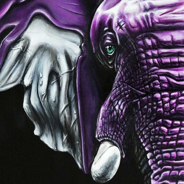 Purple Elephant